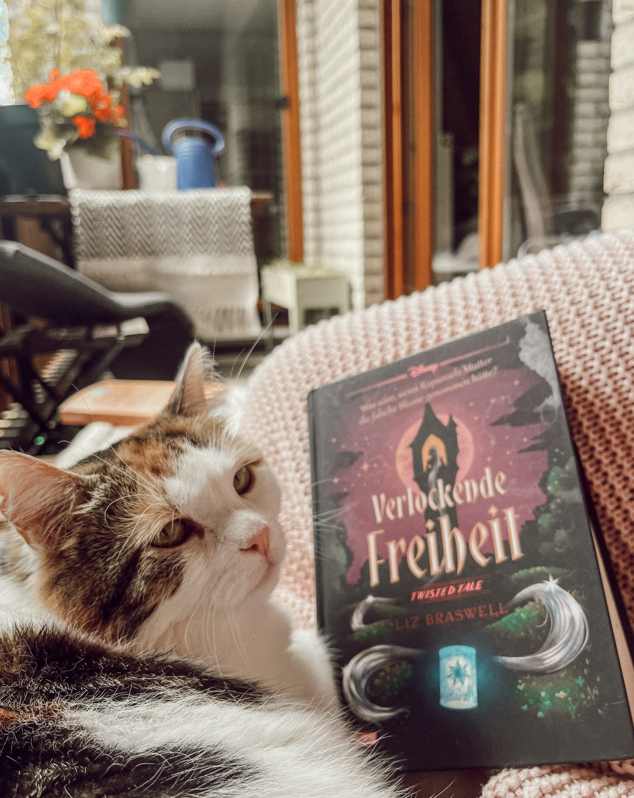 Verlockende Freiheit Disney Twsted Tales Carlsen Buch Rezension Katze mit Buch auf Balkon