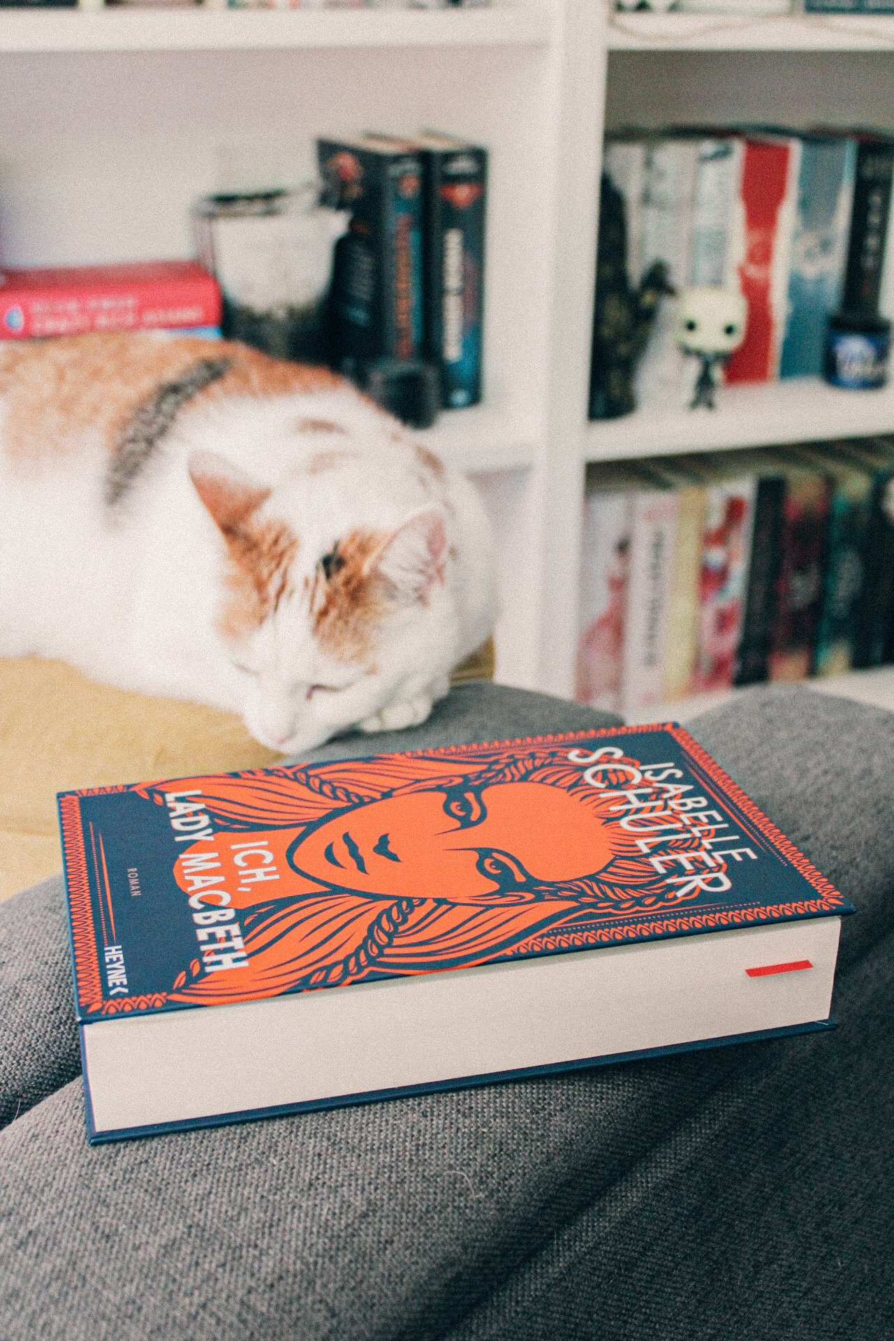 Ich Lady macBeth von Isabelle Schuler Buchbild mit Katze