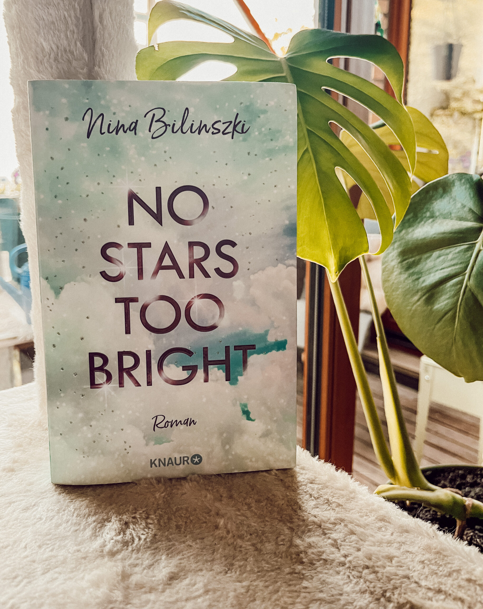No Stars too bright Lilly Lucas Rezensio Buch Foto Bookstagram New Adult Monstera