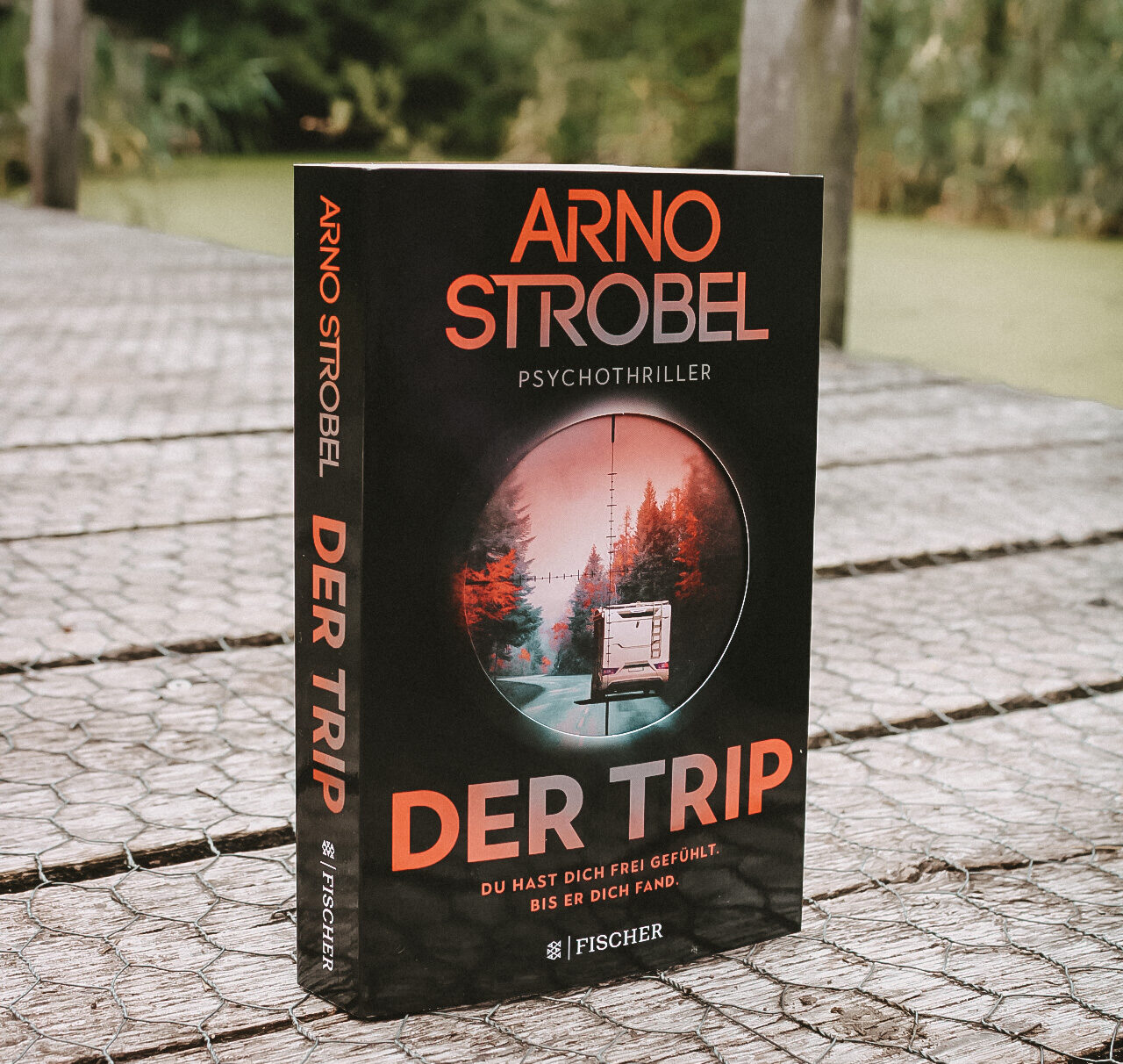 Der Trip Arno Strobel Rezension